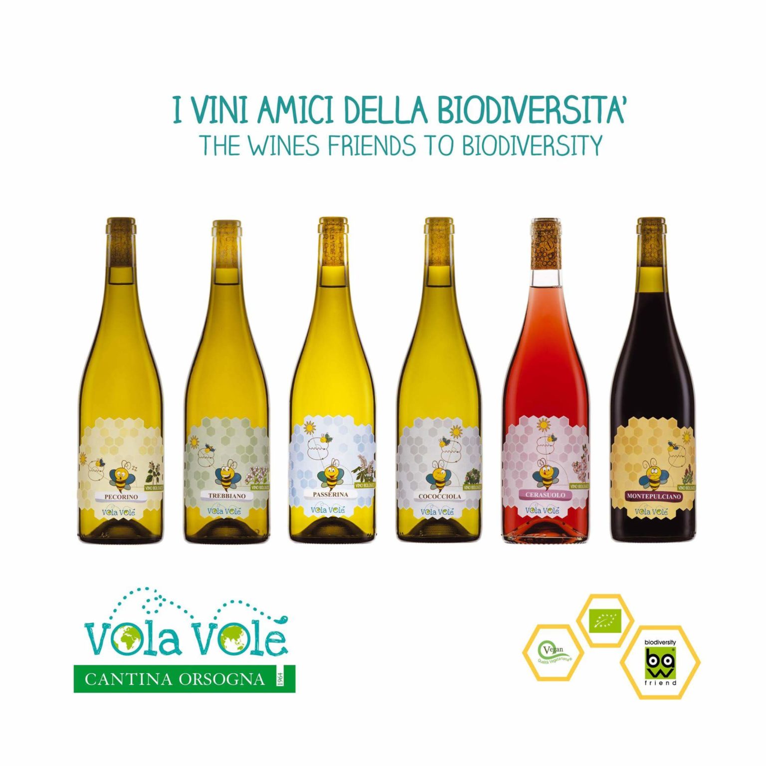 VOLA VOLE’ RANGE Prime Store Supply