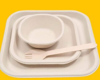 Bagasse Biodegradable Tableware Product